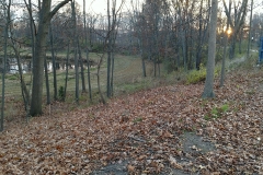 IMG_20161114_170052490