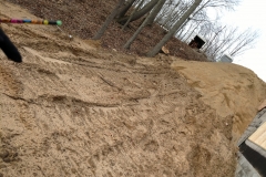 IMG_20170115_135652957_BURST000_COVER_TOP