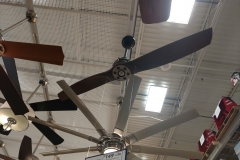 IMG_20170517_112834905