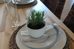 IMG_20170609_150509561